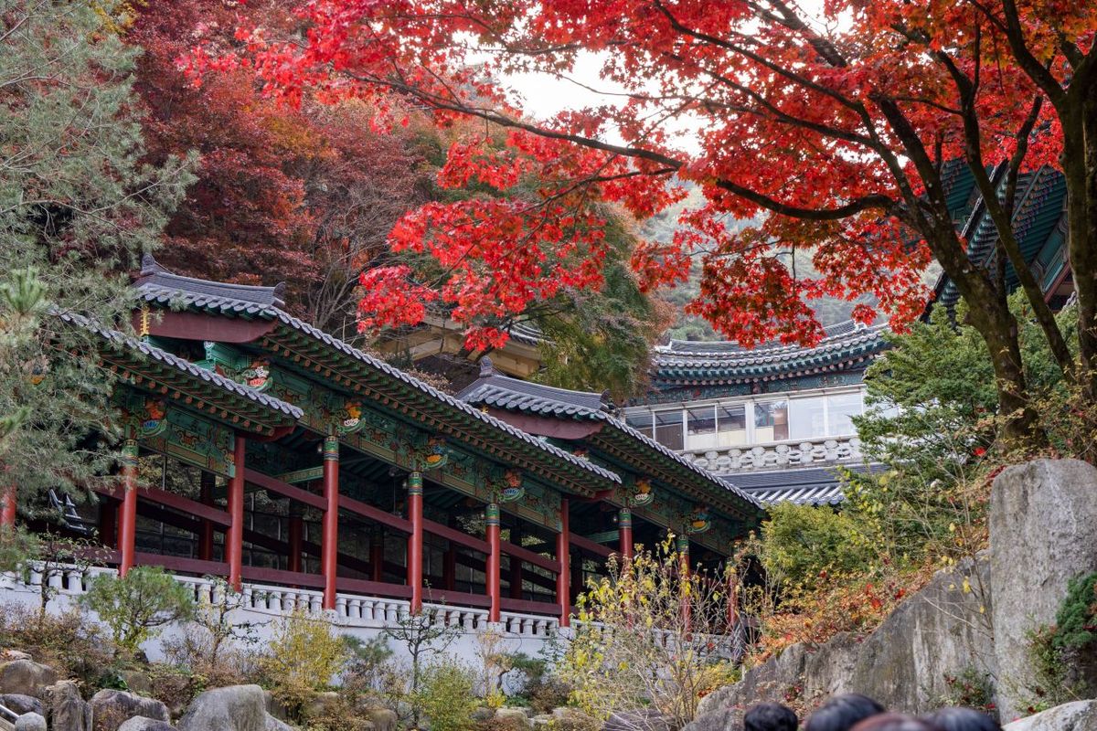 단양 구인사 / 한국관광공사-강윤구