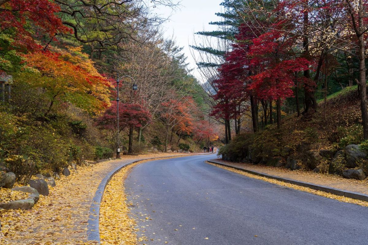 단양 구인사 / 한국관광공사-강윤구