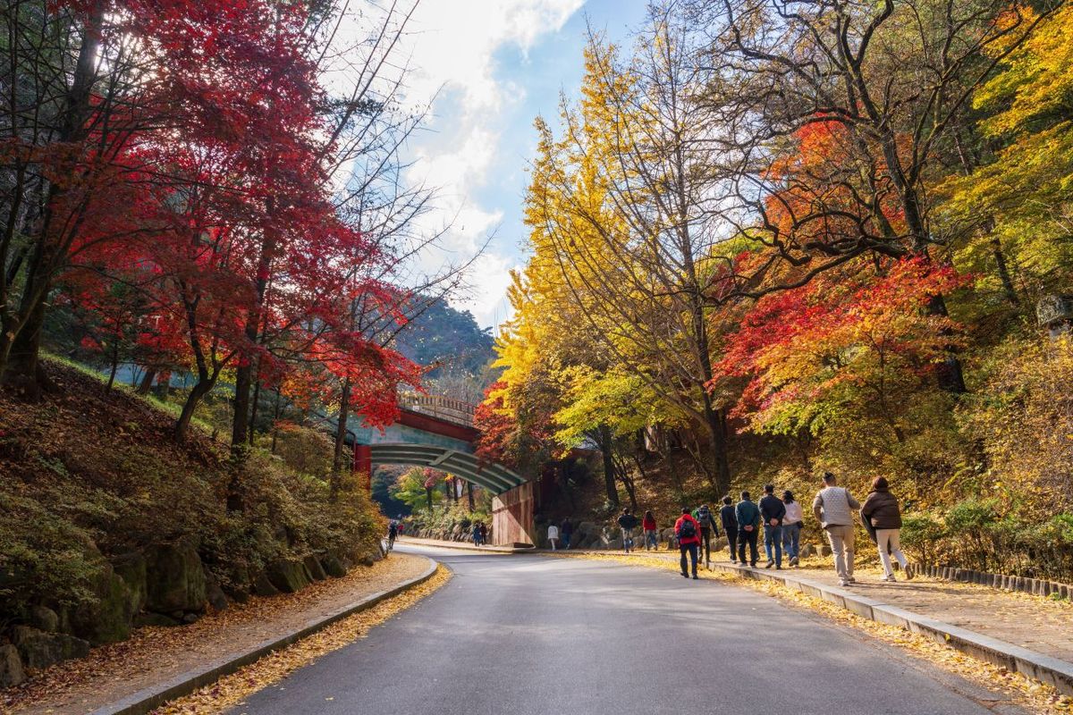 단양 구인사 / 한국관광공사-강윤구