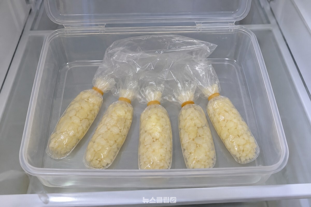 각 손가락 칸을 따로 묶어 한 번 쓸 분량으로 나눈 다진 마늘 장갑. / 기사 이해를 돕기 위한 생성형 이미지