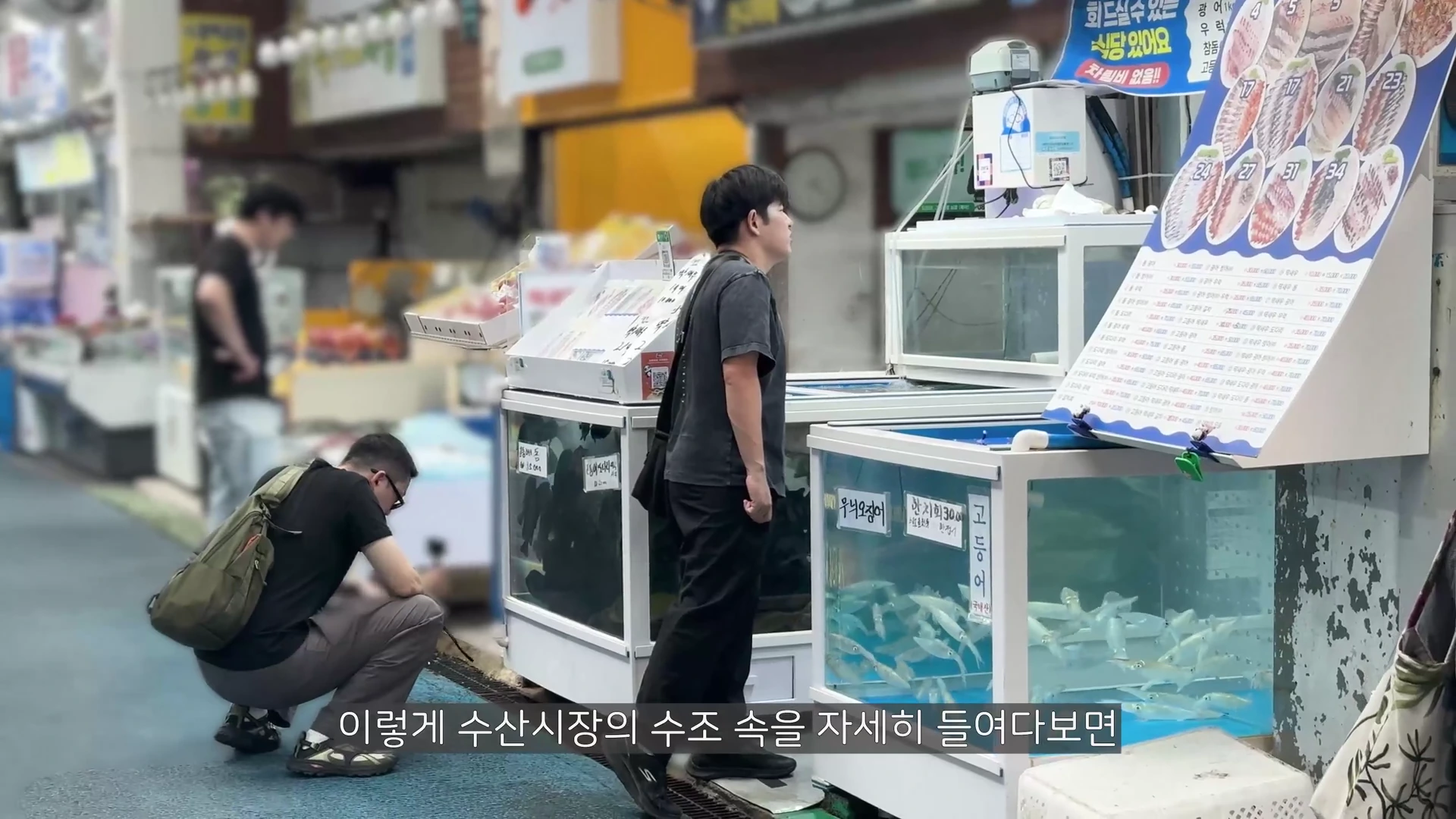 두 남성이 수산시장의 횟집 수조 앞에 서서 안을 주의 깊게 관찰하고 있으며, 한 명은 쪼그리고 앉아 있고 다른 한 명은 서 있는 모습이다.