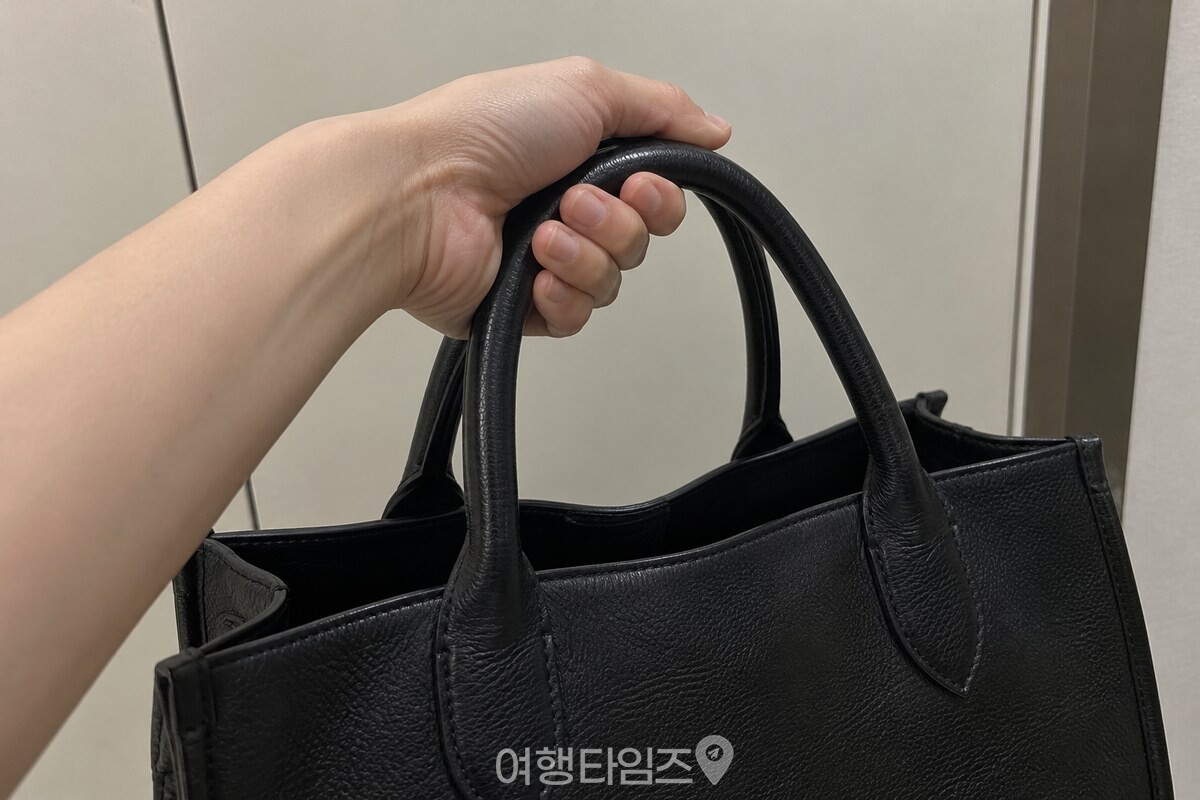 검은 가죽 가방의 둥근 손잡이를 깨끗한 손으로 잡은 가까운 모습. / 기사 이해를 돕기 위한 생성형 이미지