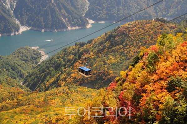 단풍으로 물든 다테야마 구로베 알펜루트 일대 전경 /사진-하나투어