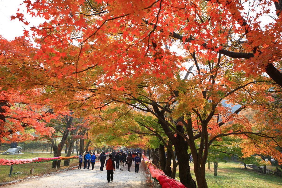 내소사 / 한국관광공사-김지호