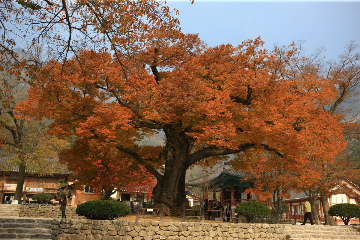 내소사 / 한국관광공사-김지호
