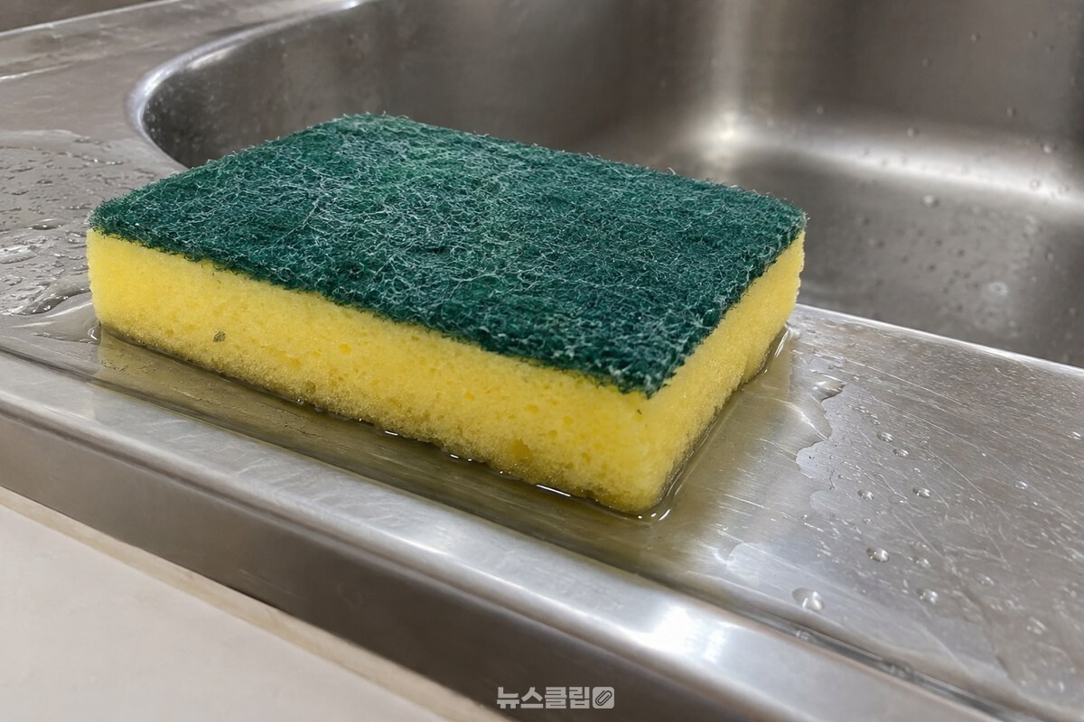 싱크대 턱의 젖은 면에 밑면이 닿아 있는 수세미. / 기사 이해를 돕기 위한 생성형 이미지