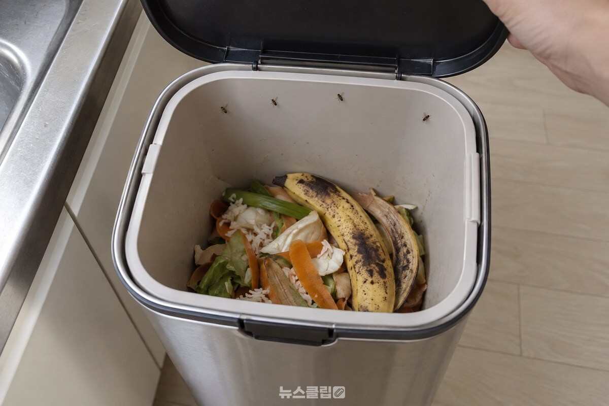 음식물쓰레기통 뚜껑을 연 가까운 장면에 과일 껍질과 채소 자투리가 보인다. / 기사 이해를 돕기 위한 생성형 이미지