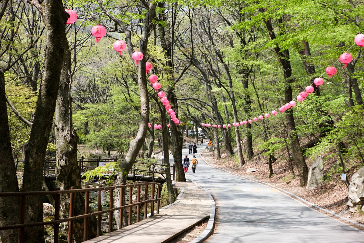 동학사 / 한국관광공사-김지호