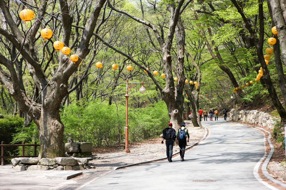 동학사 / 한국관광공사-김지호
