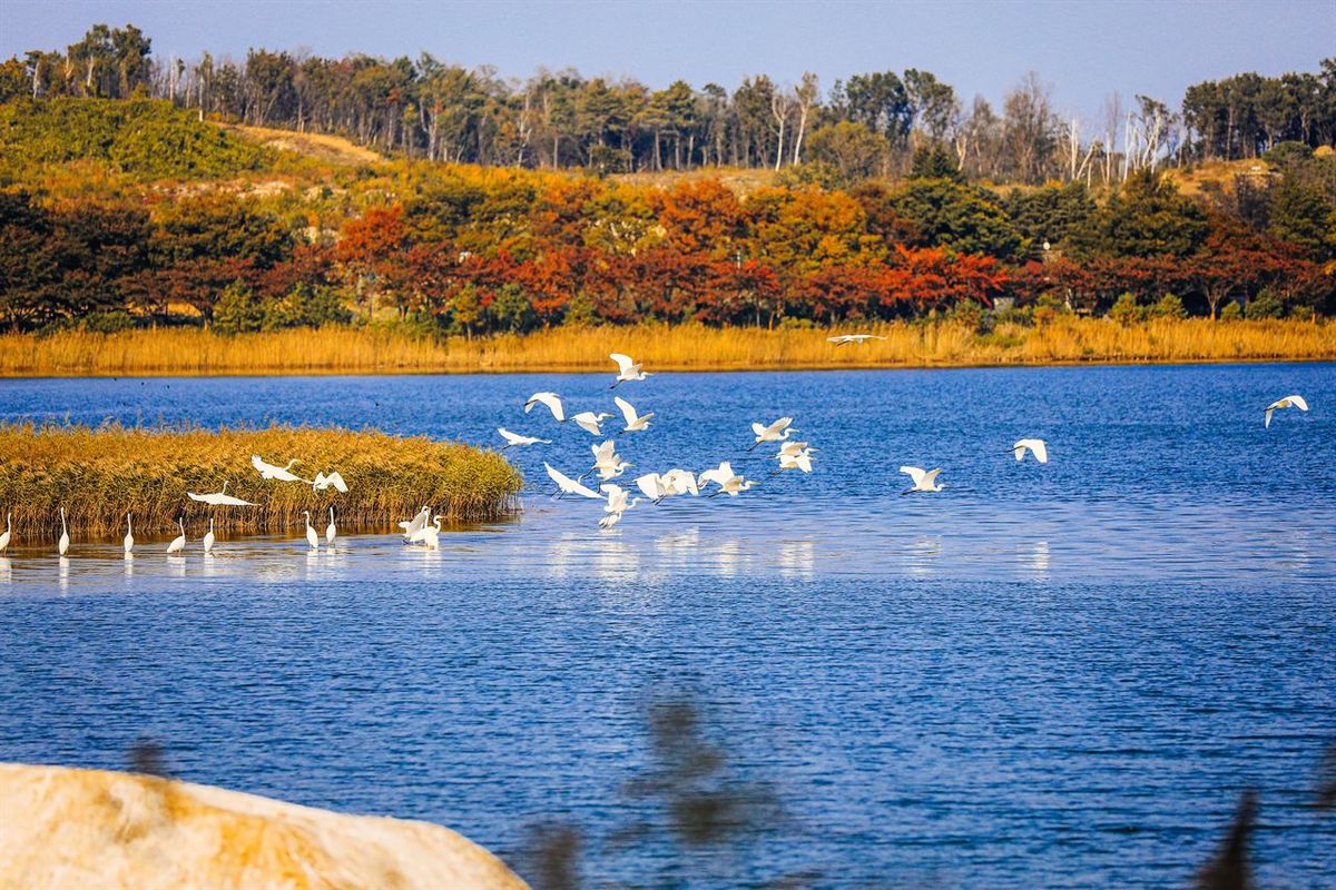 영랑호 / 한국관광공사-강원지사 모먼트스튜디오