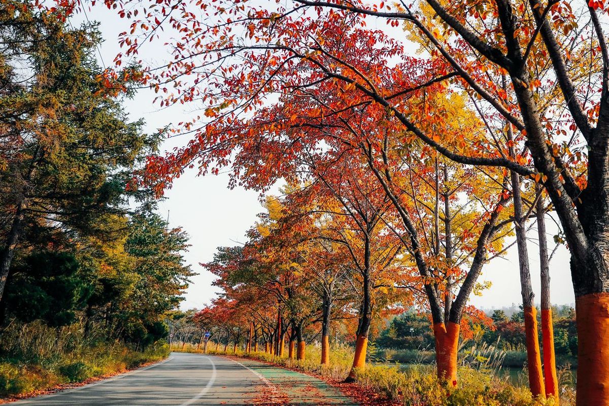 영랑호 / 한국관광공사-강원지사 모먼트스튜디오