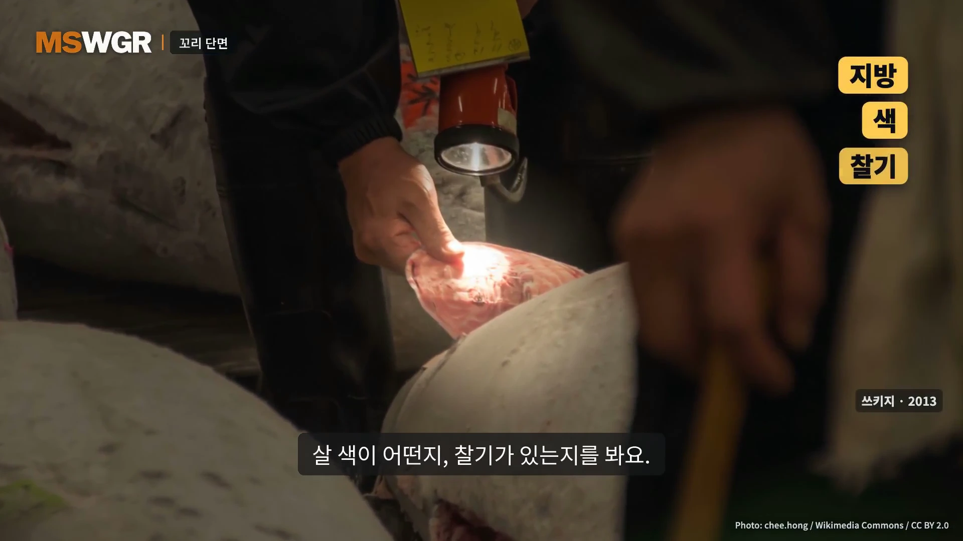 경매장에서 한 사람이 손전등을 비추고 손가락으로 참치 꼬리 단면의 육질을 꼼꼼하게 살피고 있는 모습