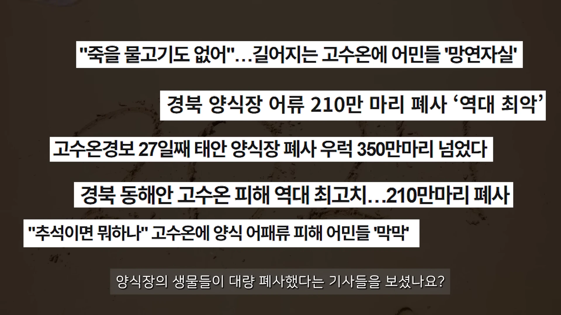 고수온 피해와 양식 어패류 폐사를 다룬 여러 뉴스 헤드라인이 검은 바탕에 흰색 자막 상자로 나열되어 있고, 하단에 질문 자막이 있는 화면.