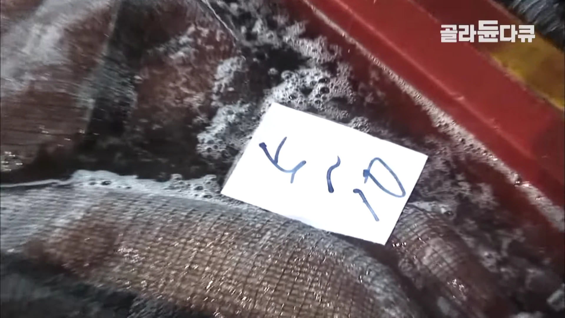 얼음물 속에 담긴 대왕문어 위에 무게를 표시한 종이가 놓여 있고 우측 상단에 로고가 떠 있는 모습