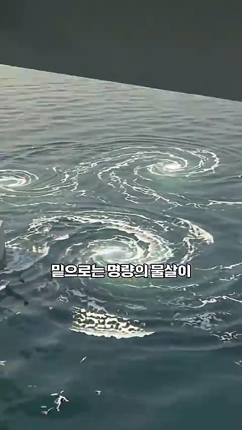 바다 표면에 여러 개의 소용돌이가 치고 있는 모습을 담은 그래픽 영상 장면이다.