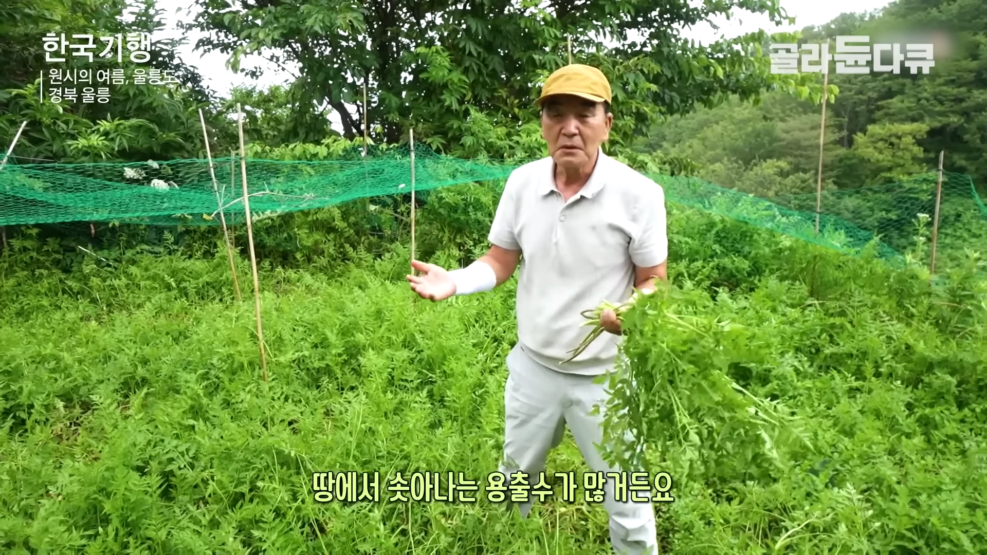 노란 모자를 쓴 중년 남성이 울창한 풀밭에서 한 손에는 수확한 미나리를 든 채 이야기를 나누고 있는 모습