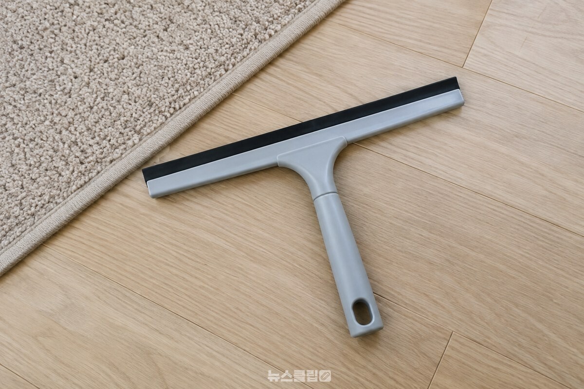 고무날 길이가 넓은 창문용 스퀴지 한 개를 러그 옆에 둔 모습. / 기사 이해를 돕기 위한 생성형 이미지