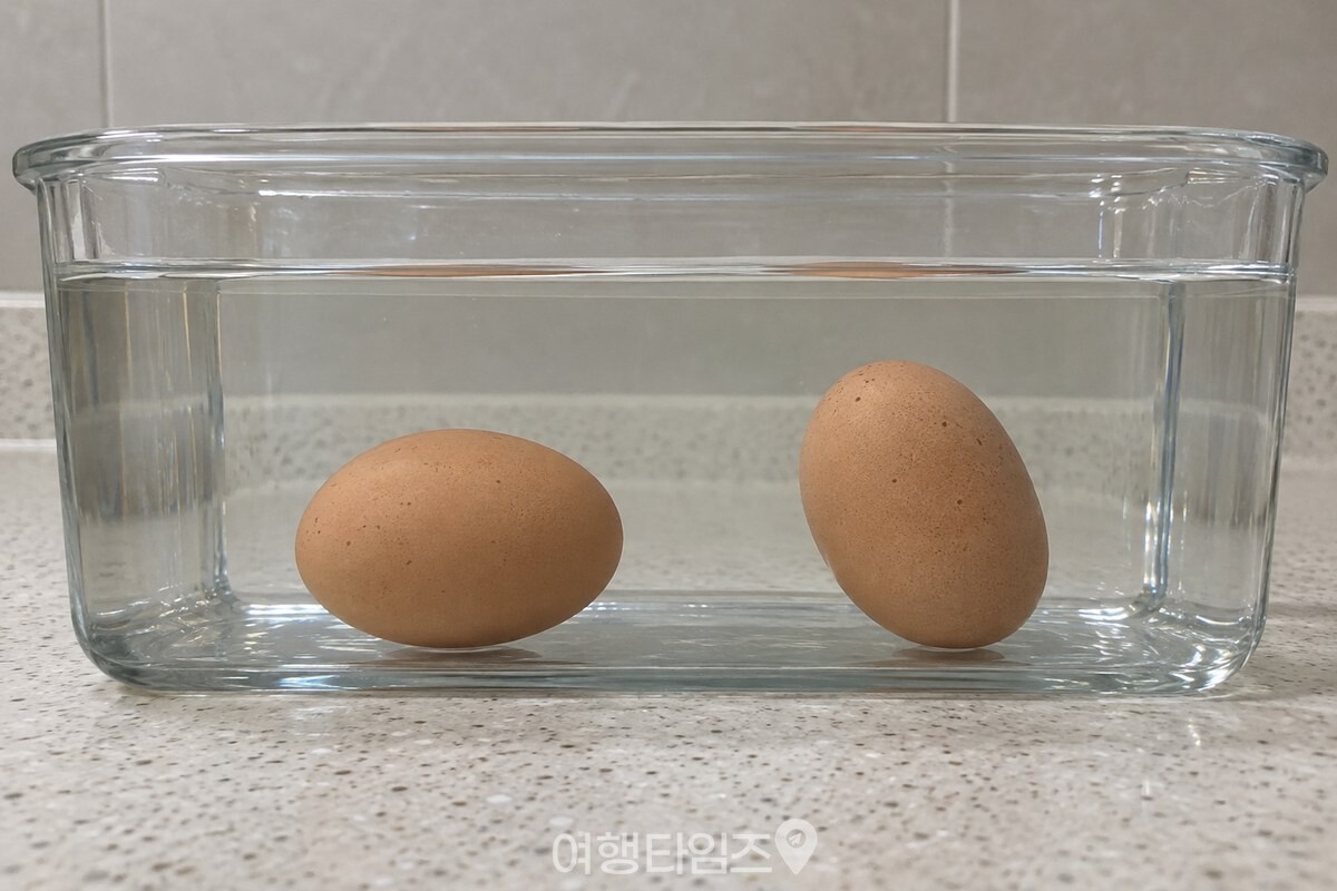 같은 크기의 계란 두 알이 물속에서 옆으로 눕고 비스듬히 선 모습으로 보인다. / 기사 이해를 돕기 위한 생성형 이미지