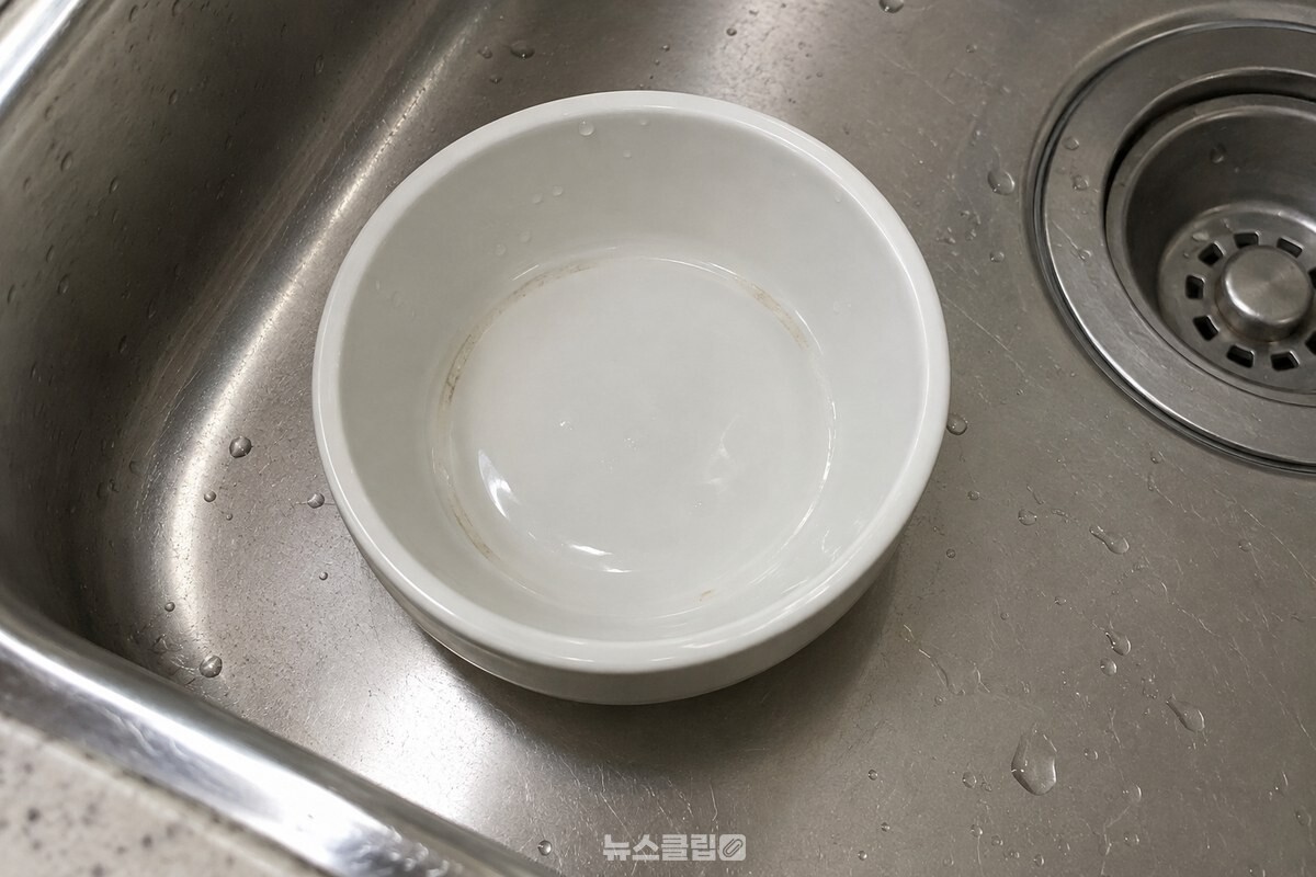 밥그릇 바닥과 가장자리 사이의 좁은 홈을 가까이에서 보여 주는 모습. / 기사 이해를 돕기 위한 생성형 이미지
