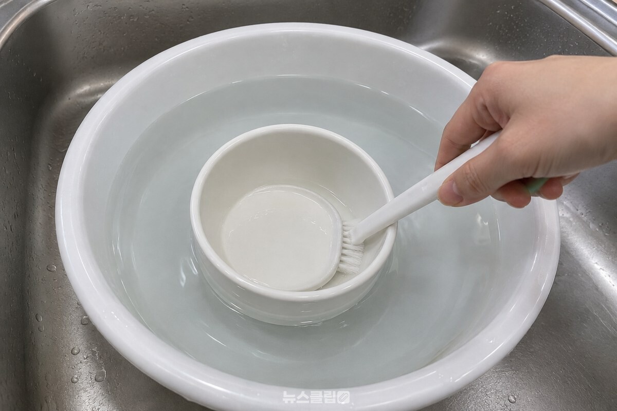 미온수에 담근 밥그릇의 바닥 홈을 전용 브러시로 닦는 모습. / 기사 이해를 돕기 위한 생성형 이미지