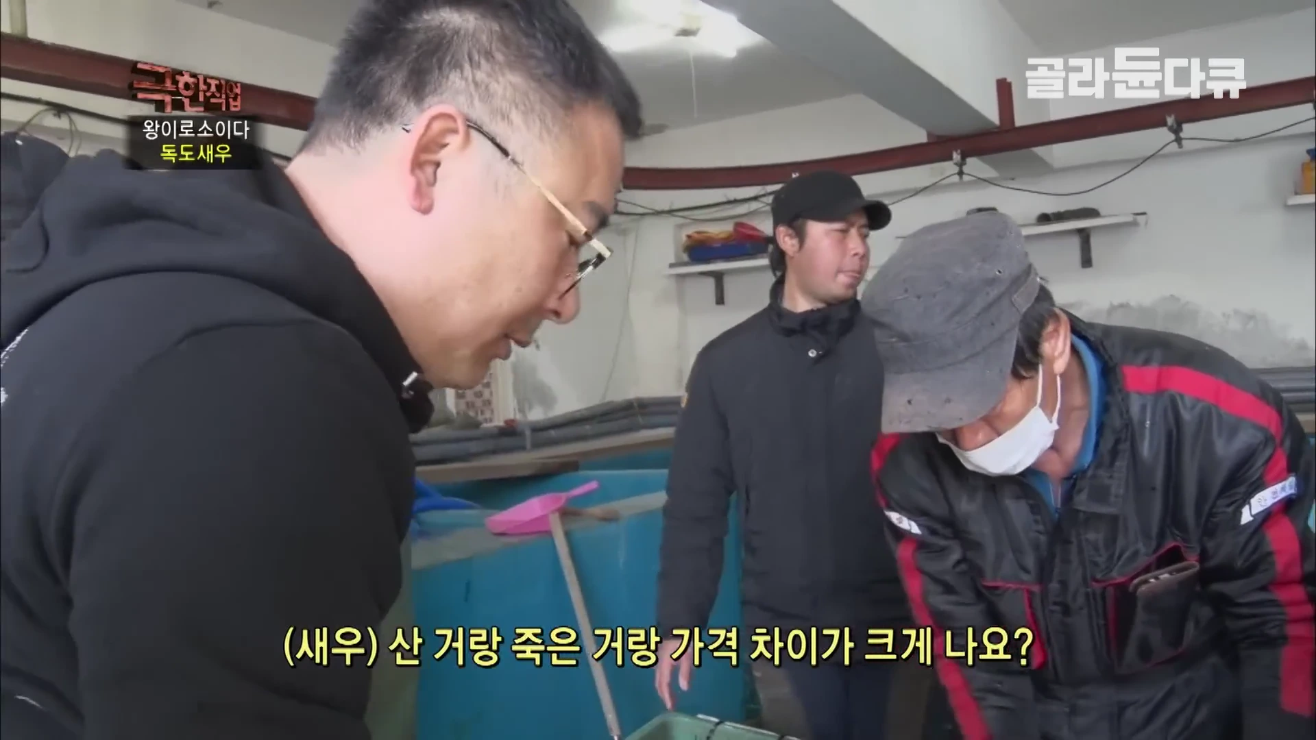 실내 작업장에서 작업자가 독도새우 선별 작업을 하는 모습을 촬영한 영상 화면으로, 화면 하단에 새우의 생사 여부에 따른 가격 차이를 묻는 자막이 삽입되어 있다.