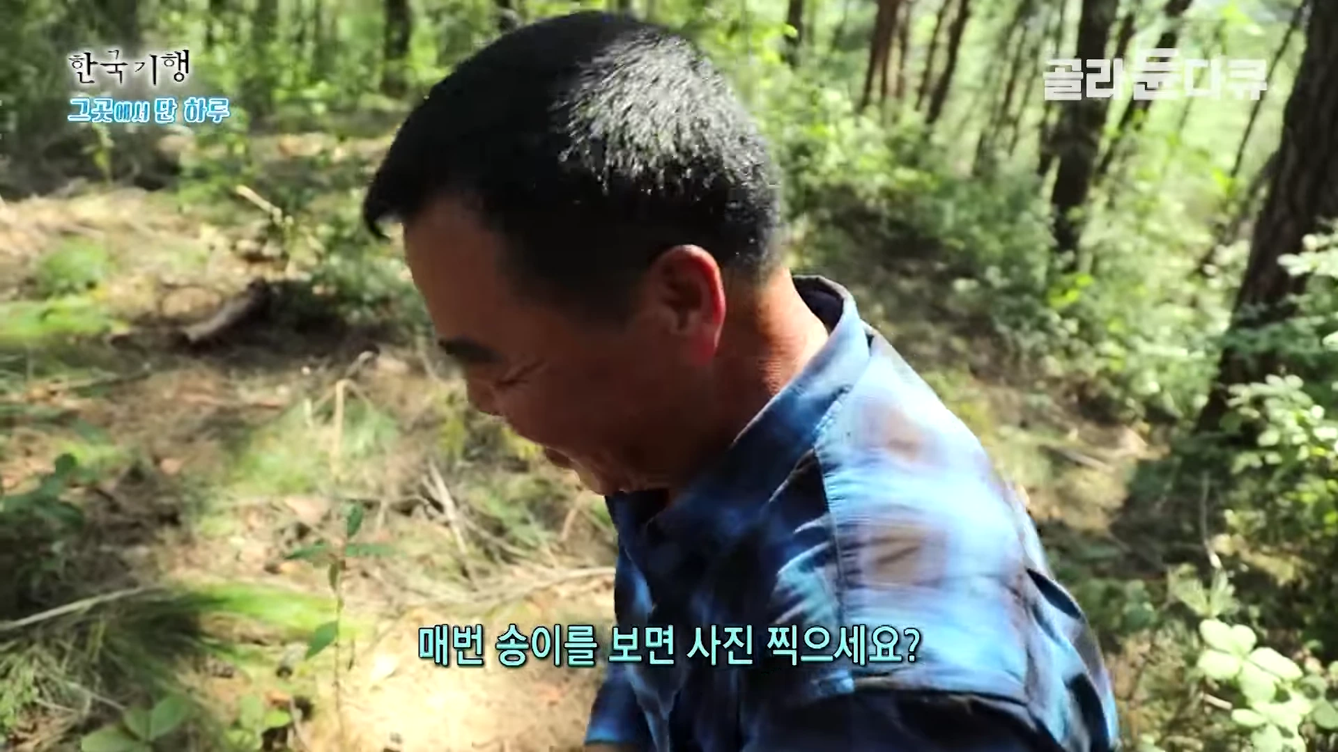 푸른색 체크무늬 셔츠를 입은 한 남성이 숲속에서 아래를 내려다보며 웃고 있는 모습이 담긴 영상 캡처 화면입니다.