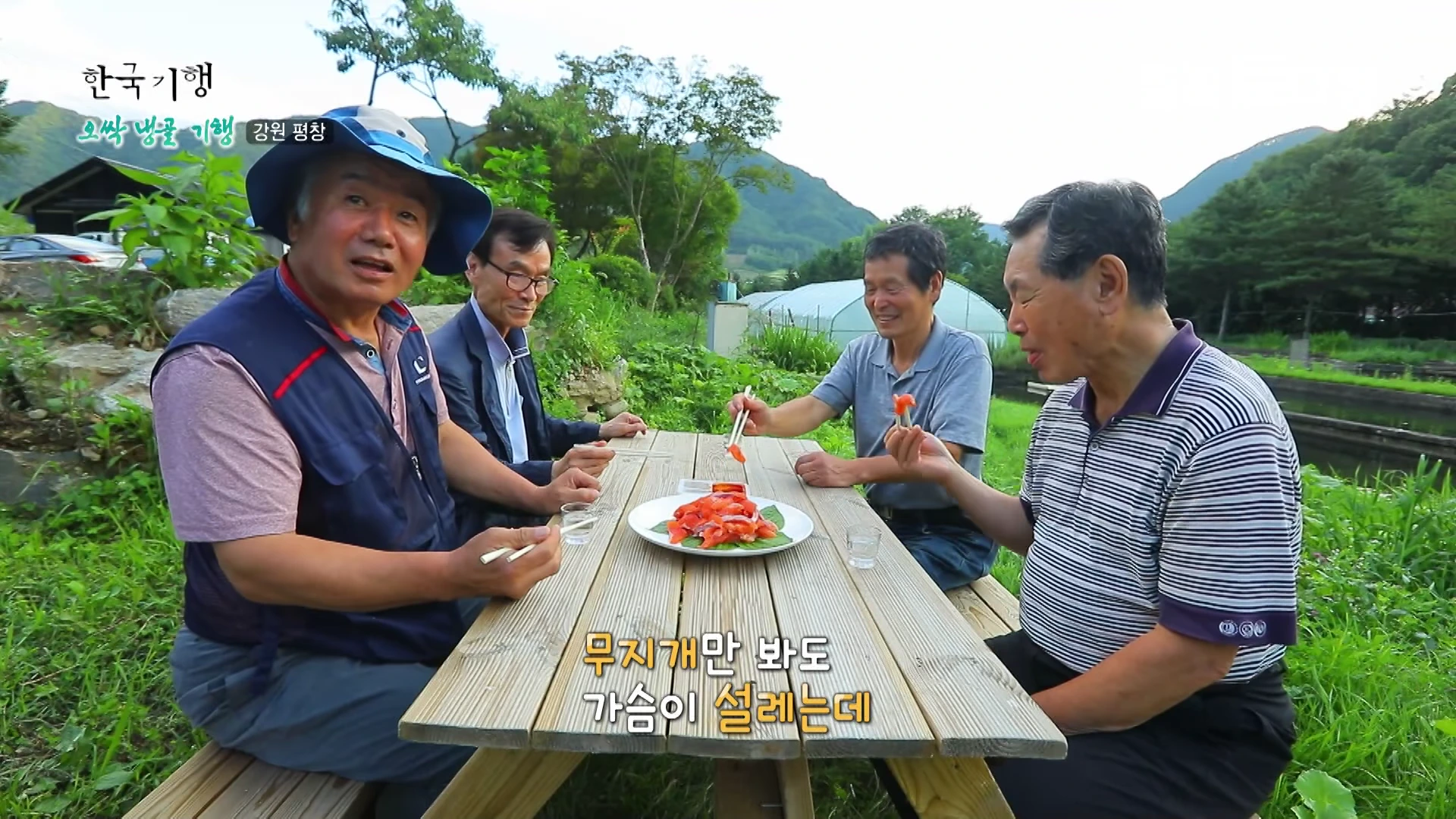 야외 정원에 놓인 나무 테이블에 네 명의 중년 남성이 둘러앉아 송어회를 먹고 있는 모습이 담긴 방송 화면이다.