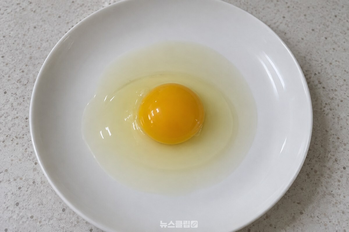 깨끗한 흰 접시에 깬 계란의 가운데에 노른자가 봉긋하게 놓인 모습. / 기사 이해를 돕기 위한 생성형 이미지
