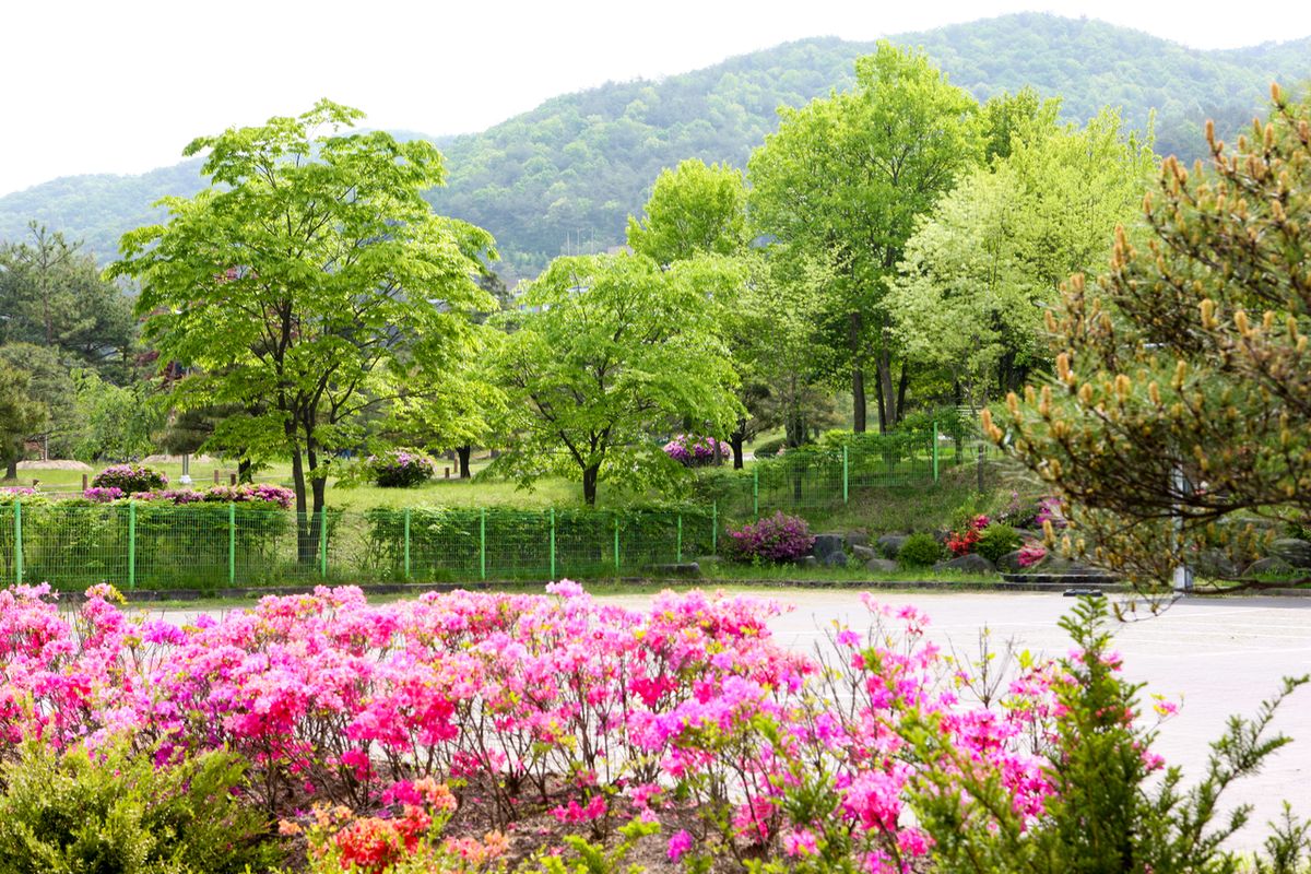 미동산수목원 / 한국관광공사-김지호