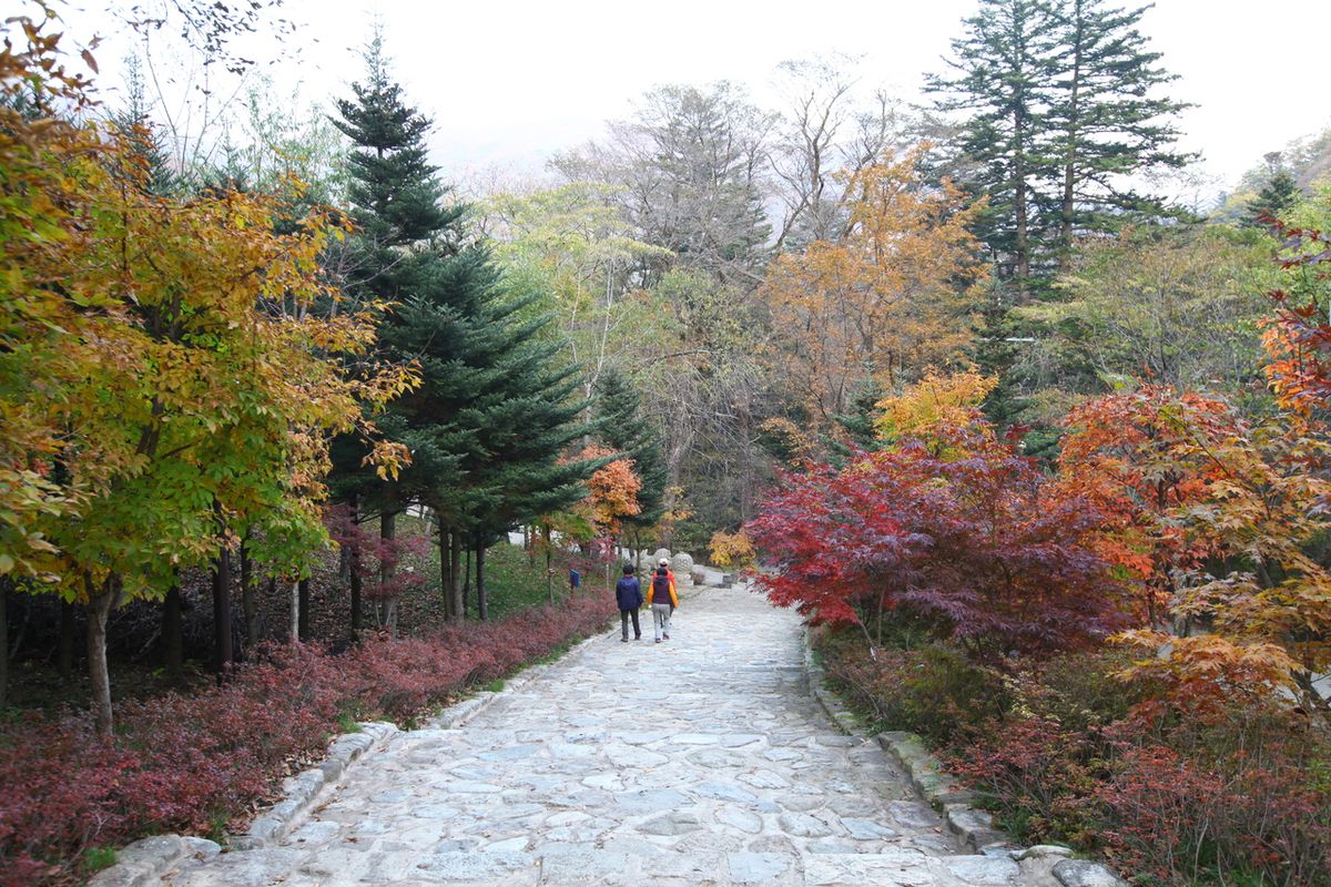 상원사 / 한국관광공사-이범수