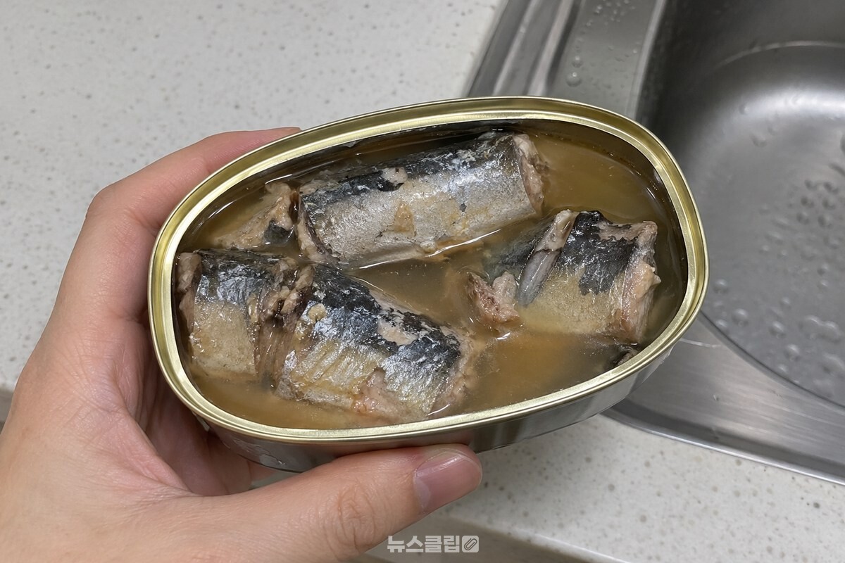 열린 꽁치 통조림 안에 국물과 뼈째 익은 꽁치 조각이 보인다. / 기사 이해를 돕기 위한 생성형 이미지