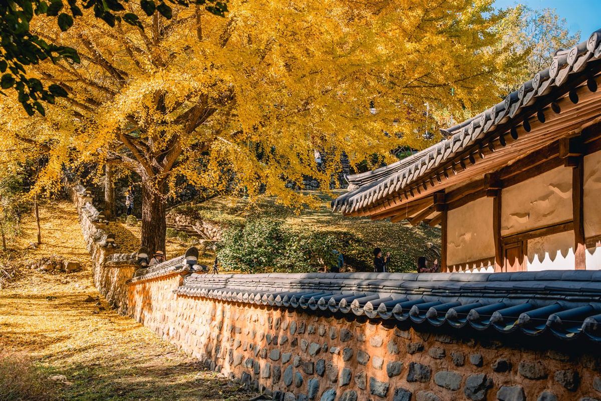 함안향교 / 한국관광공사-장재윤
