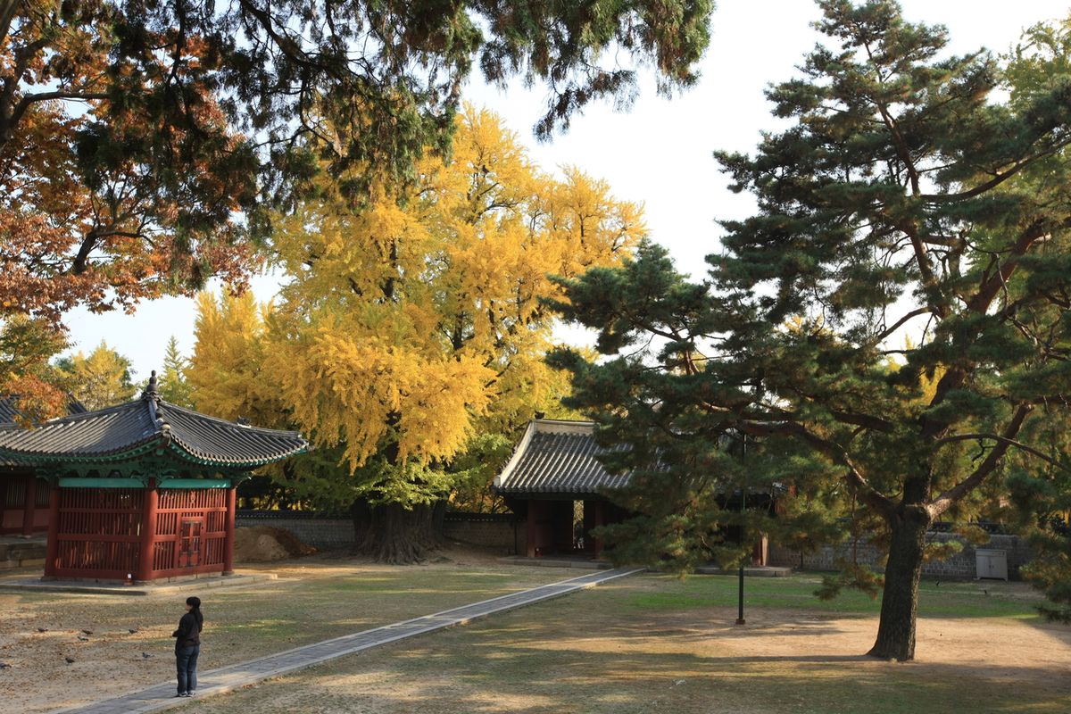 성균관 / 한국관광공사-박성근