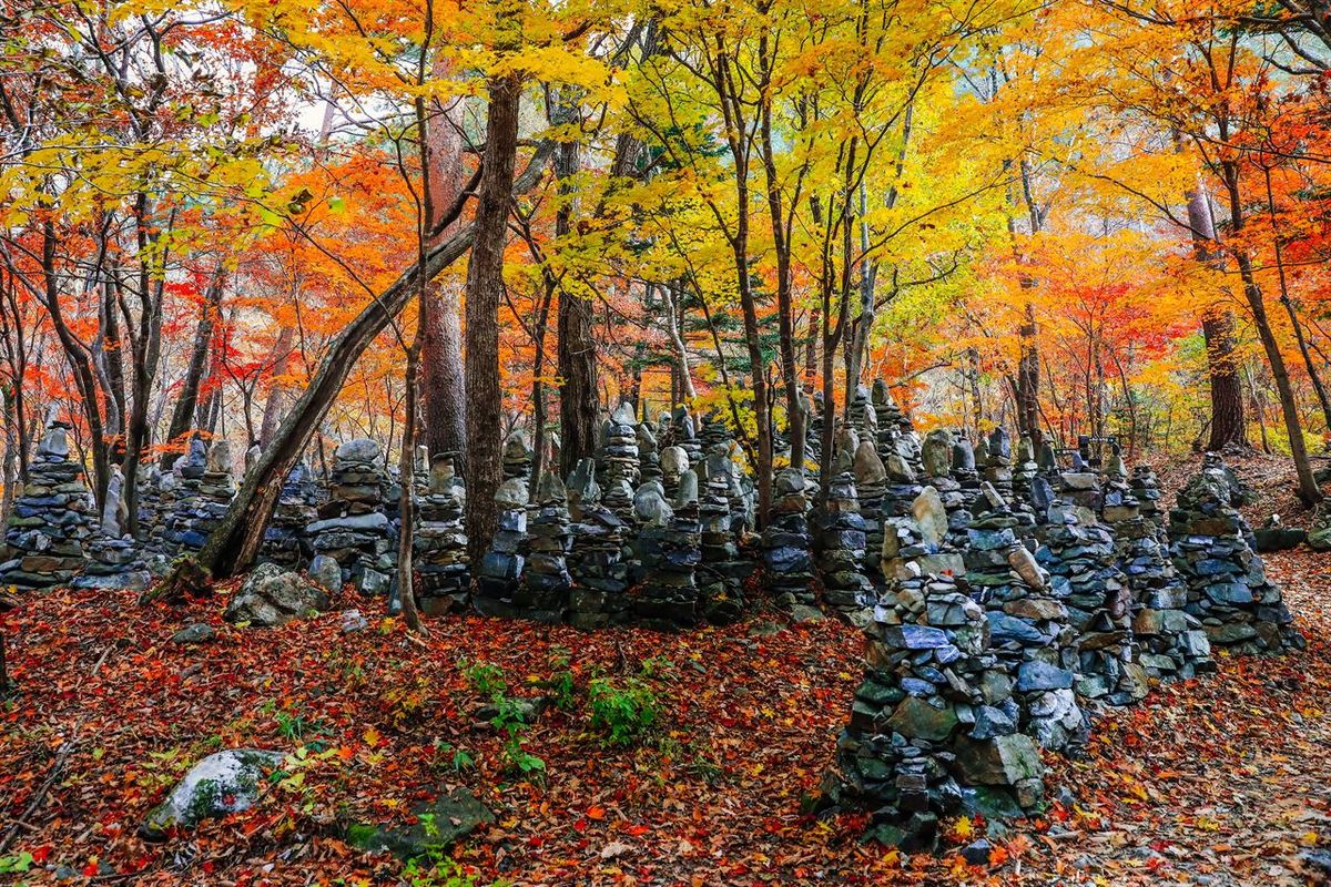 노추산 / 한국관광공사-강원지사 모먼트스튜디오