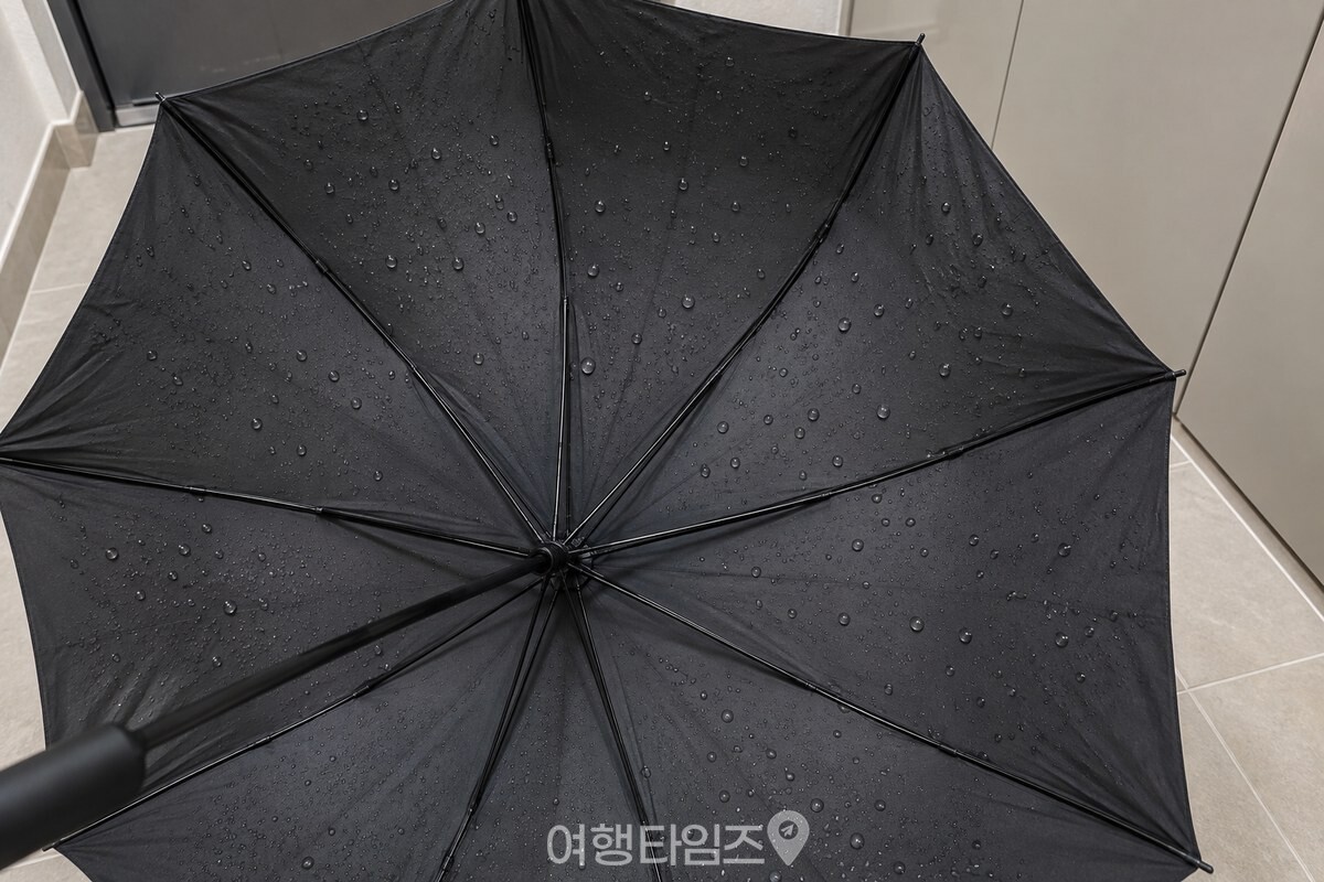 현관 바닥 위에 펼친 검은 천 우산 위에서 물방울이 둥글게 맺혀 있다. / 기사 이해를 돕기 위한 생성형 이미지