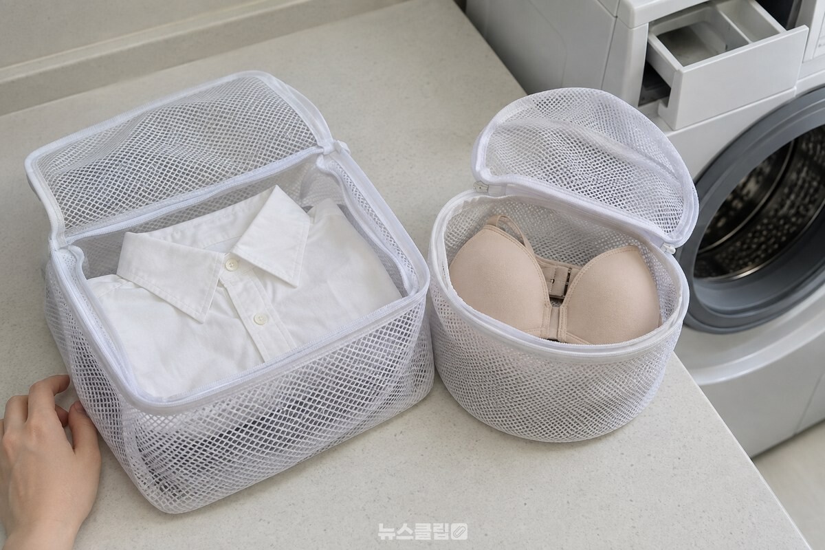 네모난 세탁망의 접은 셔츠와 촘촘한 세탁망의 브래지어가 각각 여유 있게 담겨 있다. / 기사 이해를 돕기 위한 생성형 이미지