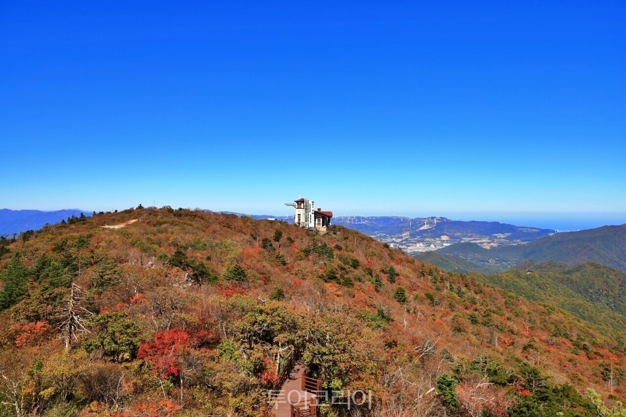 평창 발왕산 단풍 /사진-모나용평