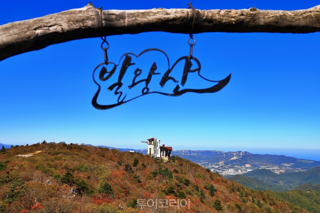 평창 발왕산 단풍 /사진-모나용평