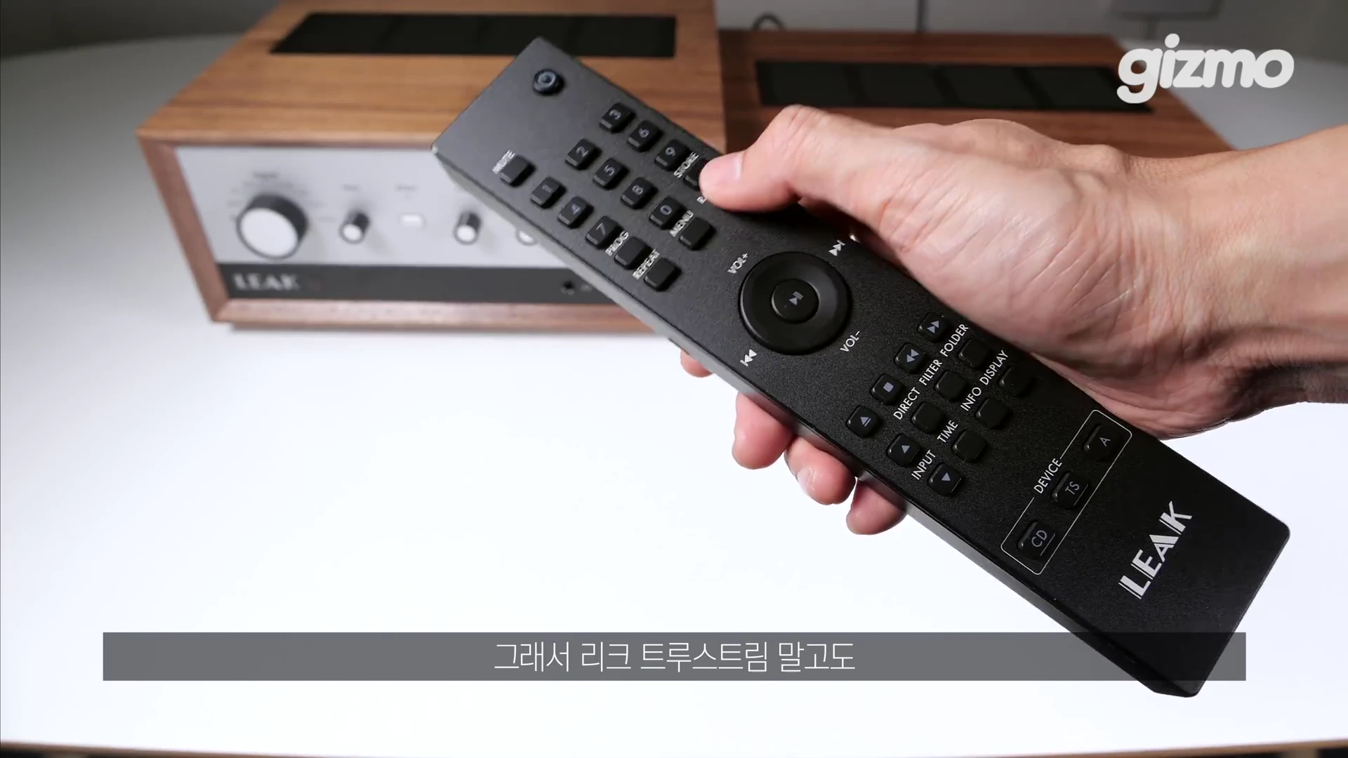 사람 손이 네트워크 플레이어의 전용 리모컨을 들고 있고 배경에는 리크 오디오 기기가 흐릿하게 놓여 있다.
