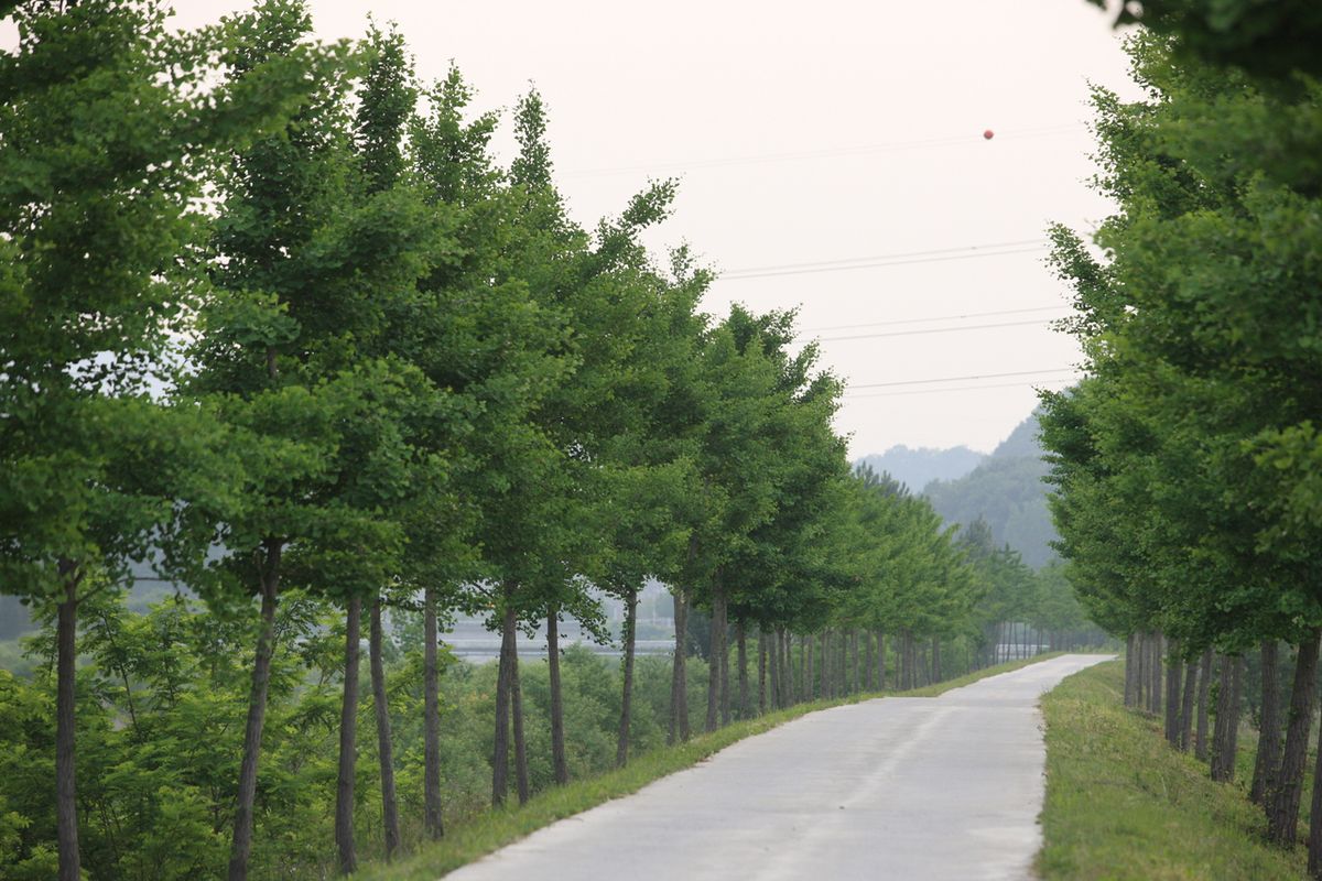 백곡천 산책길 / 한국관광공사-박성근