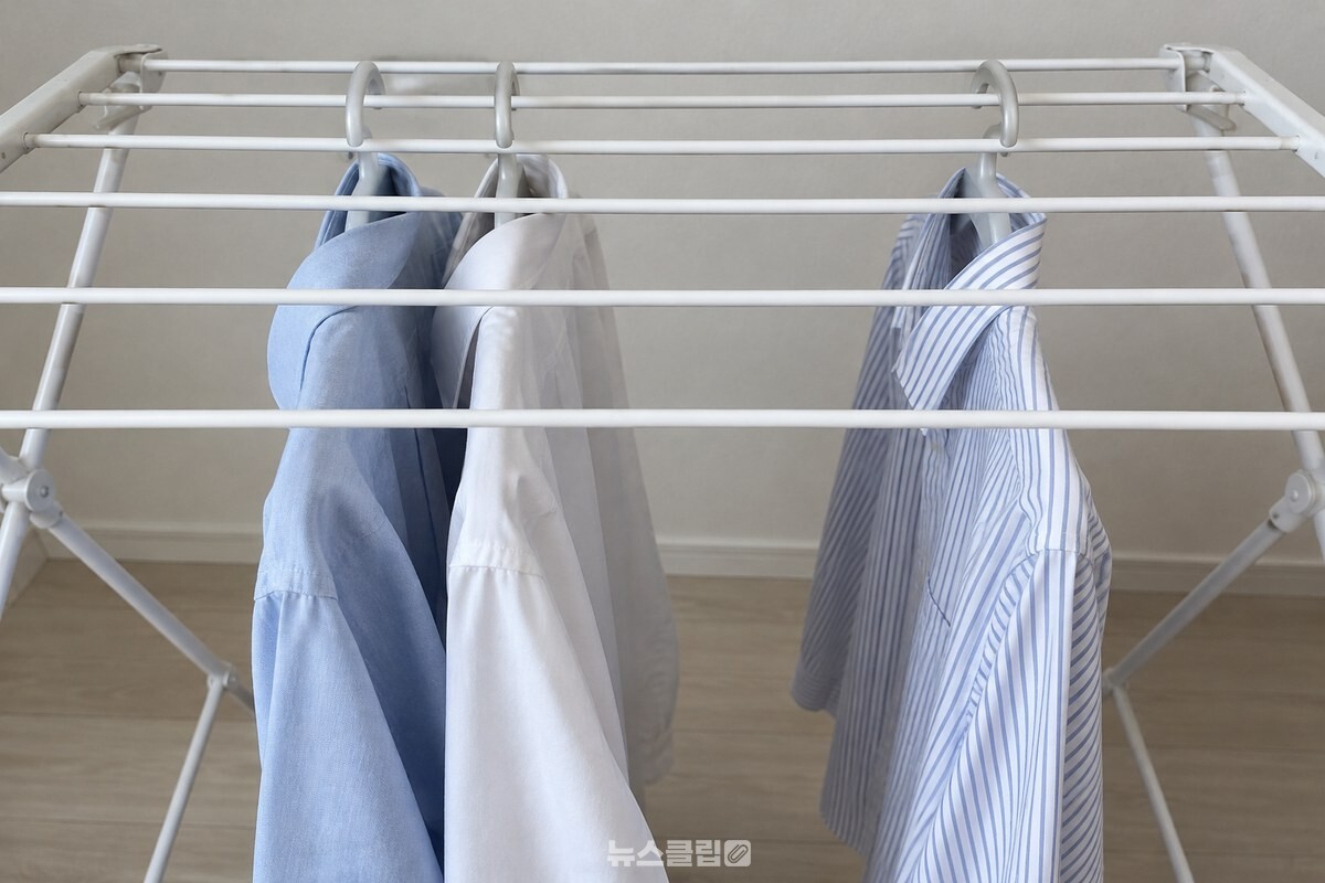 건조대 안쪽 줄에서 서로 가까이 걸린 두 장의 옷 사이로 공기가 잘 통하지 않는 모습이다. / 기사 이해를 돕기 위한 생성형 이미지
