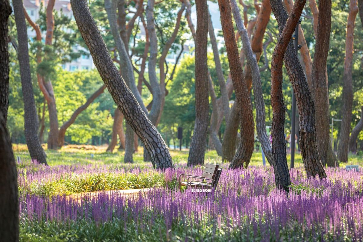 황성공원 / 한국관광공사-박장용