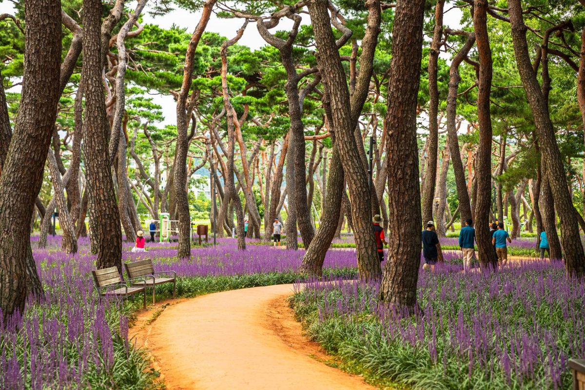 황성공원 / 한국관광공사-박장용
