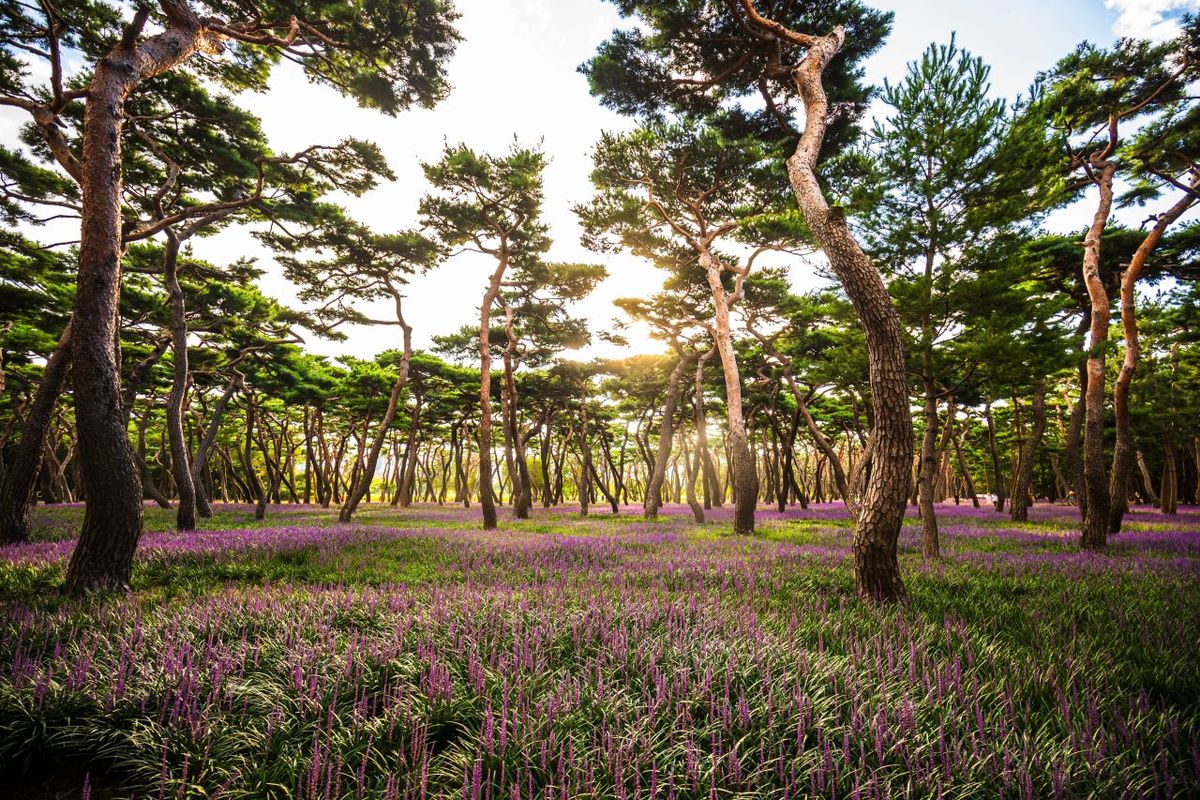 황성공원 / 한국관광공사-박장용