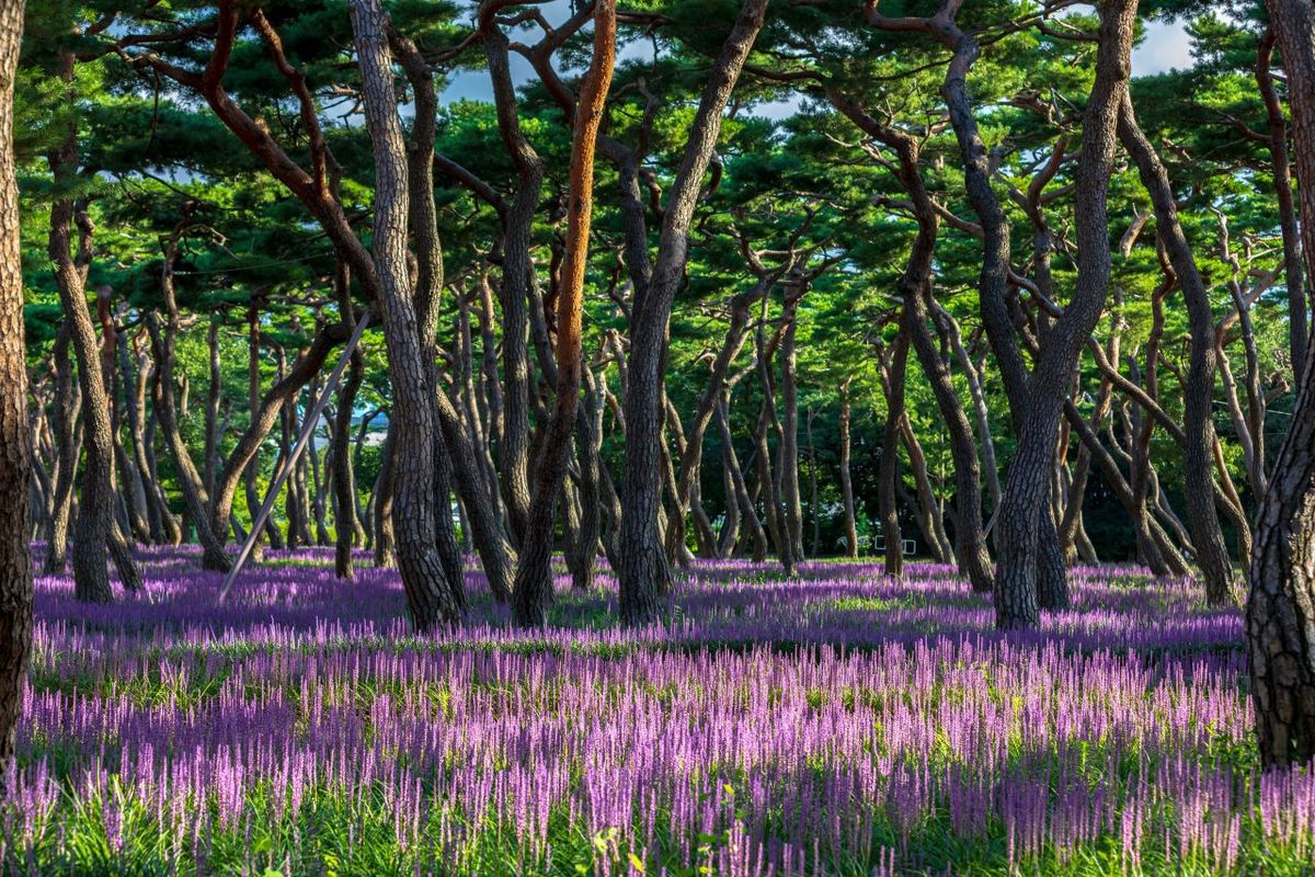 황성공원 / 한국관광공사-박장용