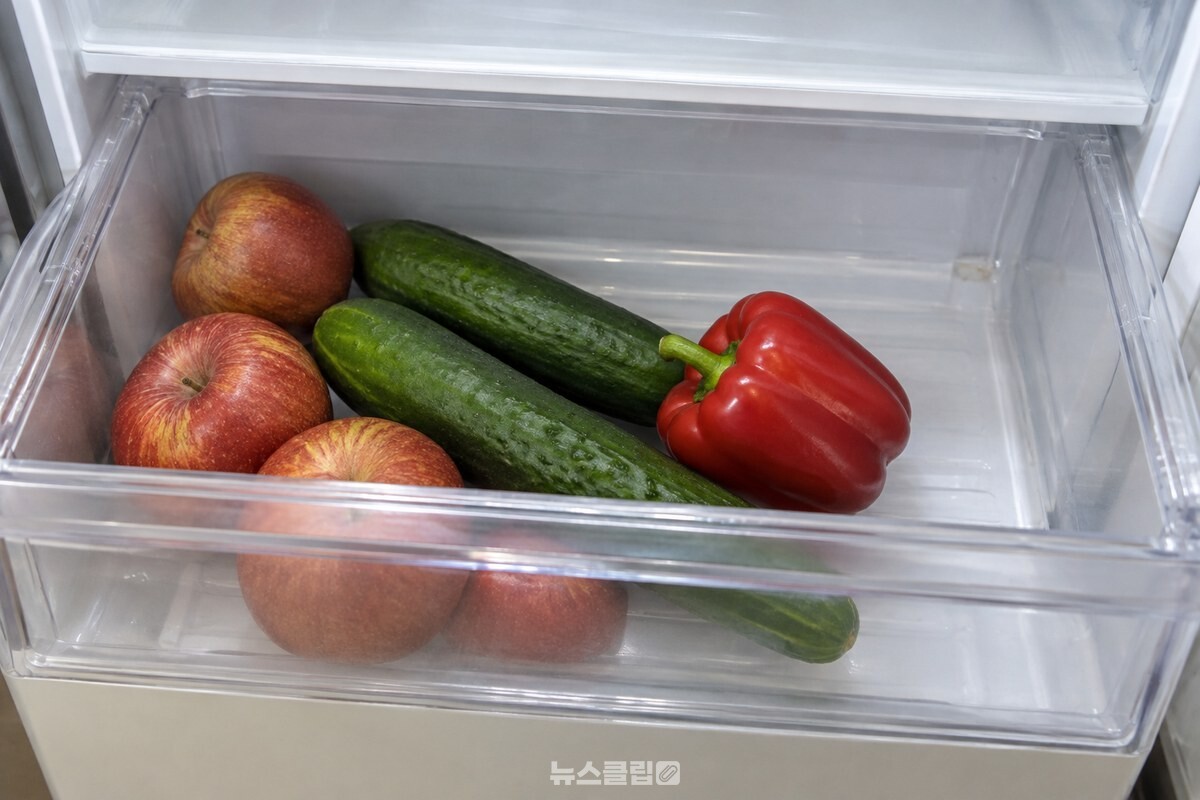 칸막이 없는 야채 서랍에서 사과와 길쭉한 채소가 함께 놓여 있는 모습. / 기사 이해를 돕기 위한 생성형 이미지