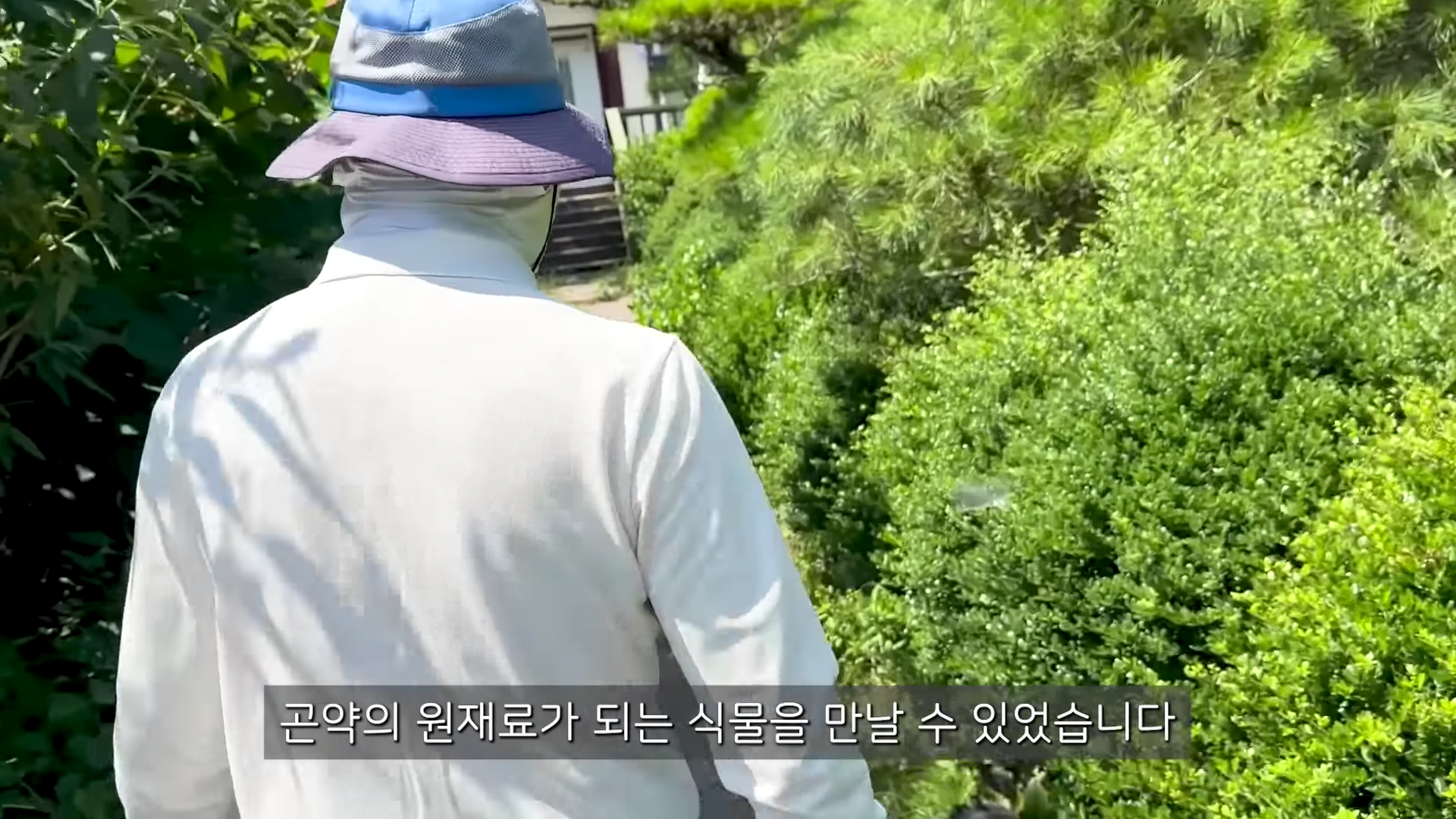 등산 모자와 흰색 긴팔 옷을 착용한 사람이 정원 길을 걸어가고 있는 뒷모습