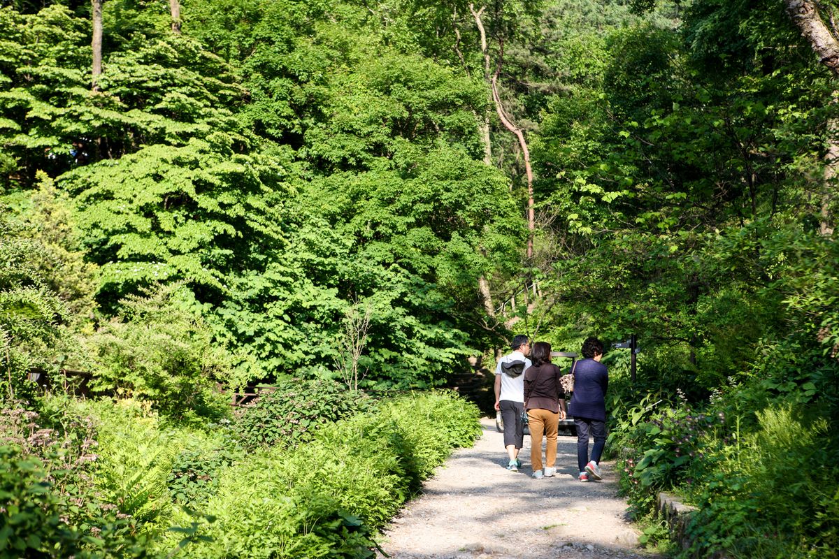 한택식물원 / 한국관광공사-김지호