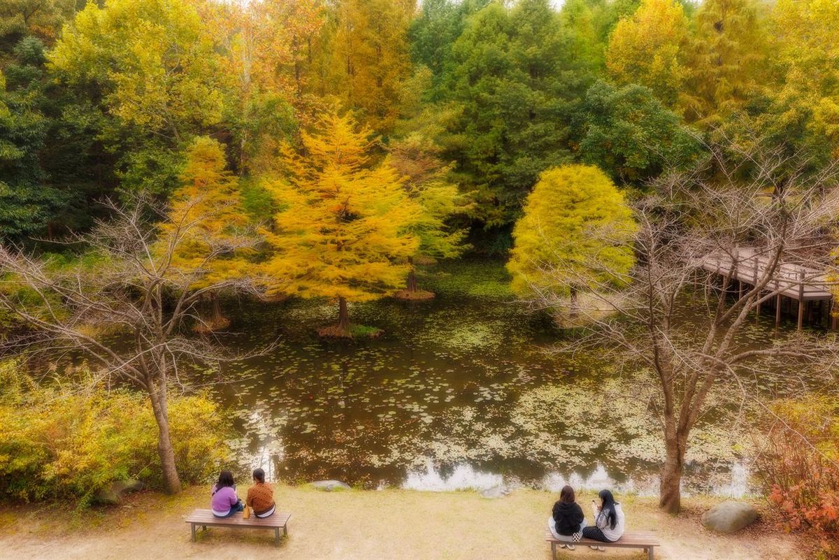 물향기수목원 / 한국관광공사-박아름