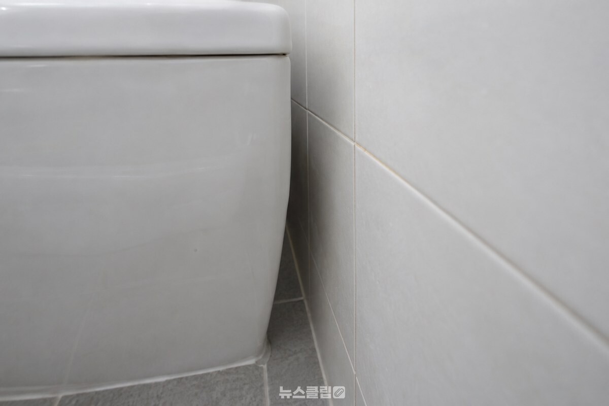 변기 물탱크와 뒷벽 사이의 좁은 틈을 가까이에서 본 모습. / 기사 이해를 돕기 위한 생성형 이미지